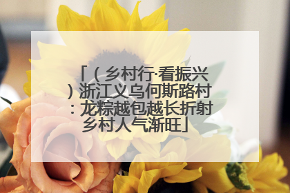（乡村行·看振兴）浙江义乌何斯路村：龙粽越包越长折射乡村人气渐旺