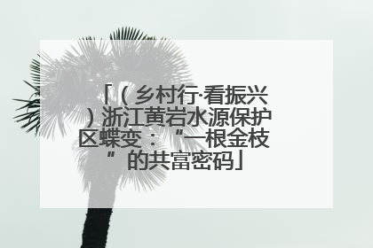 （乡村行·看振兴）浙江黄岩水源保护区蝶变：“一根金枝”的共富密码