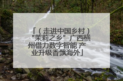 （走进中国乡村）“茉莉之乡”广西横州借力数字智能 产业升级香飘海外