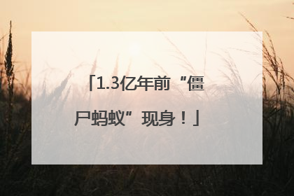 1.3亿年前“僵尸蚂蚁”现身！