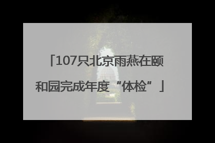107只北京雨燕在颐和园完成年度“体检”