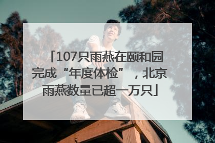 107只雨燕在颐和园完成“年度体检”，北京雨燕数量已超一万只