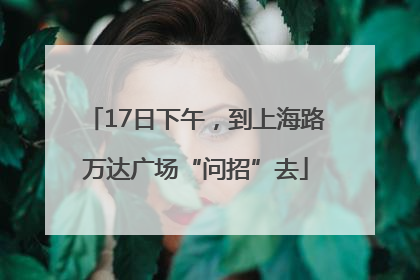17日下午，到上海路万达广场“问招”去