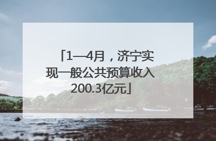 1—4月，济宁实现一般公共预算收入200.3亿元