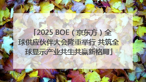 2025 BOE（京东方）全球供应伙伴大会隆重举行 共筑全球显示产业共生共赢新格局