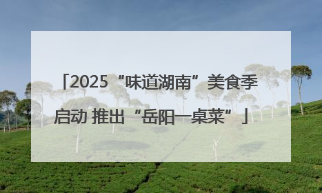 2025“味道湖南”美食季启动 推出“岳阳一桌菜”