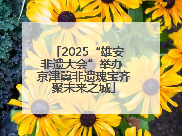 2025“雄安非遗大会”举办 京津冀非遗瑰宝齐聚未来之城