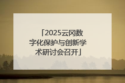 2025云冈数字化保护与创新学术研讨会召开