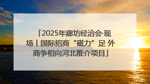 2025年廊坊经洽会·现场丨国际招商“磁力”足 外商争相向河北推介项目