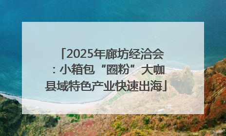 2025年廊坊经洽会：小箱包“圈粉”大咖 县域特色产业快速出海
