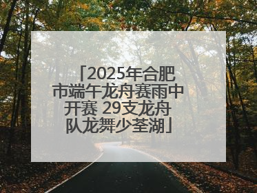 2025年合肥市端午龙舟赛雨中开赛 29支龙舟队龙舞少荃湖