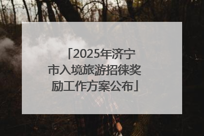 2025年济宁市入境旅游招徕奖励工作方案公布