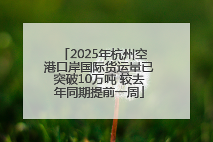 2025年杭州空港口岸国际货运量已突破10万吨 较去年同期提前一周