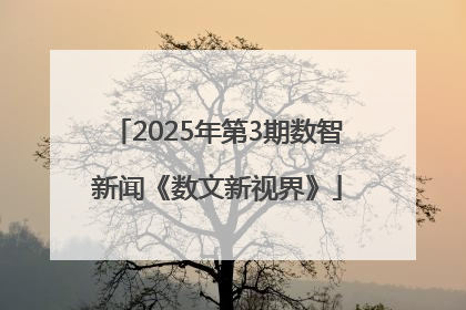 2025年第3期数智新闻《数文新视界》