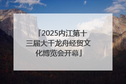 2025内江第十三届大千龙舟经贸文化博览会开幕