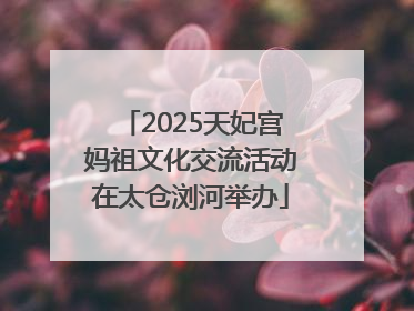 2025天妃宫妈祖文化交流活动在太仓浏河举办