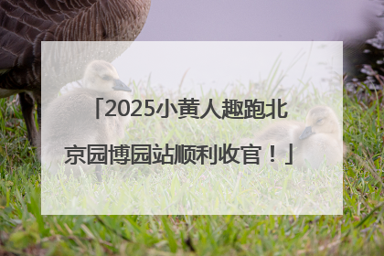 2025小黄人趣跑北京园博园站顺利收官！