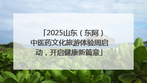2025山东（东阿）中医药文化旅游体验周启动，开启健康新篇章