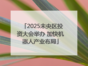 2025未央区投资大会举办 加快机器人产业布局