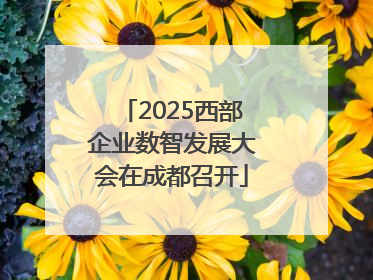 2025西部企业数智发展大会在成都召开