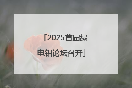 2025首届绿电铝论坛召开
