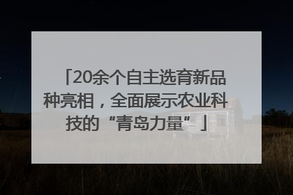 20余个自主选育新品种亮相，全面展示农业科技的“青岛力量”
