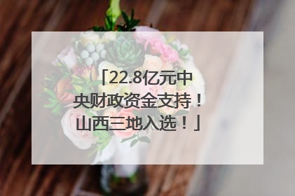 22.8亿元中央财政资金支持！山西三地入选！