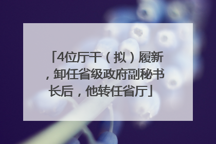 4位厅干（拟）履新，卸任省级政府副秘书长后，他转任省厅
