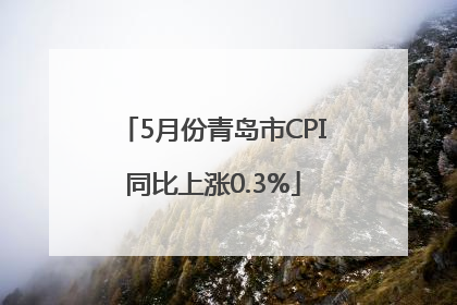 5月份青岛市CPI同比上涨0.3%