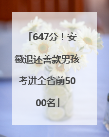 647分！安徽退还善款男孩考进全省前5000名