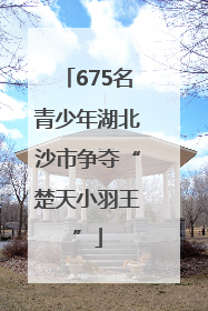 675名青少年湖北沙市争夺“楚天小羽王”