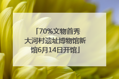 70%文物首秀 大河村遗址博物馆新馆6月14日开馆