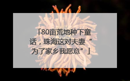 80亩荒地种下童话，珠海这对夫妻“为了家乡我愿意”