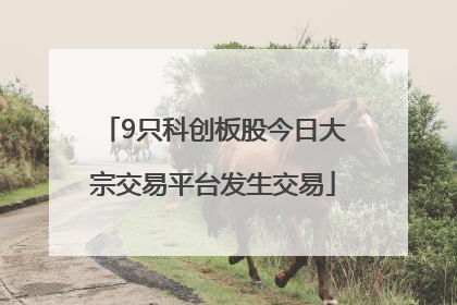 9只科创板股今日大宗交易平台发生交易