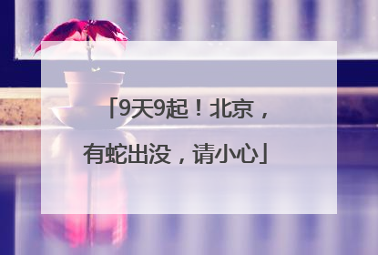 9天9起！北京，有蛇出没，请小心